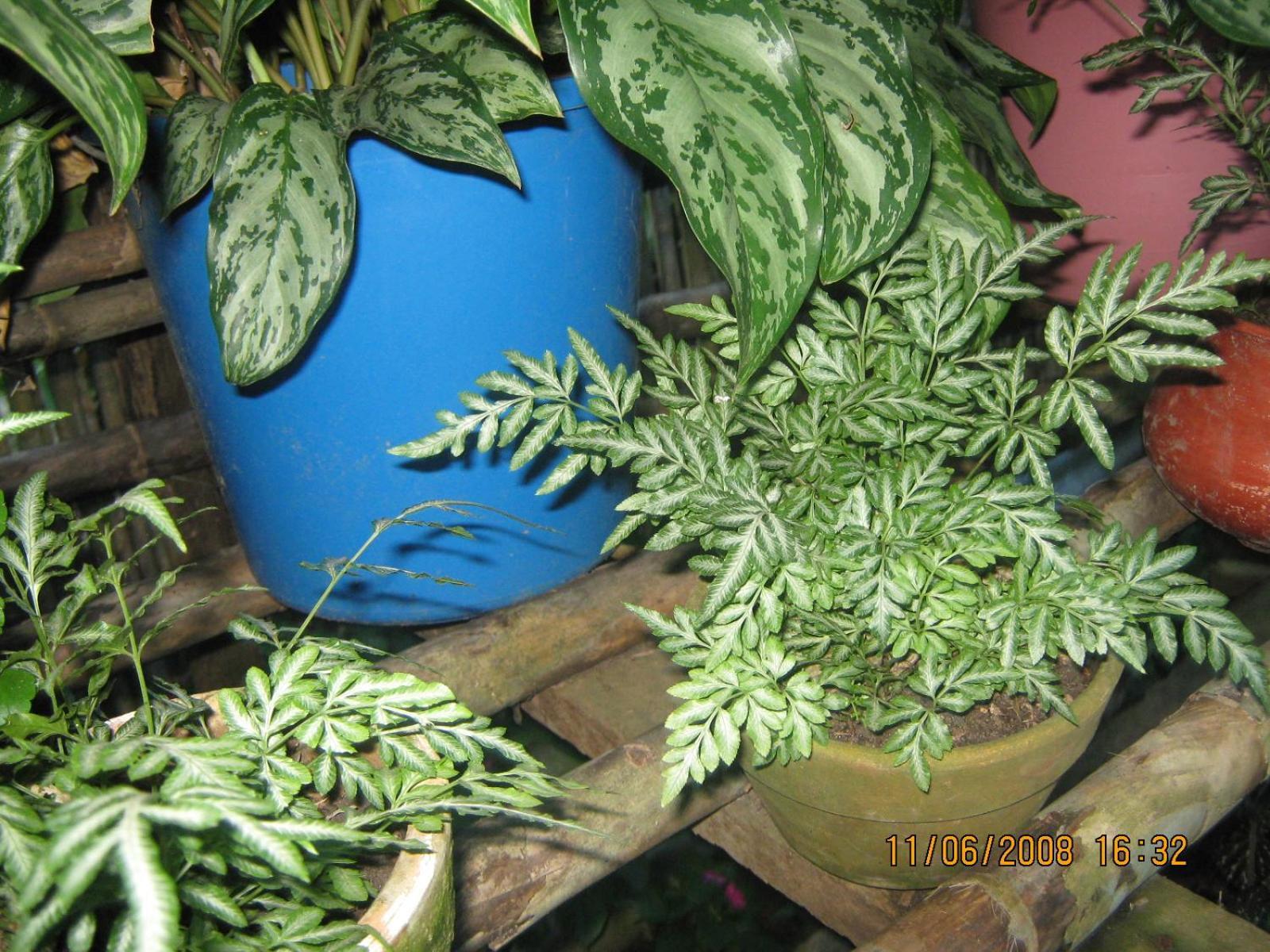 Casa De Palos Boutique Tarapoto Dış mekan fotoğraf