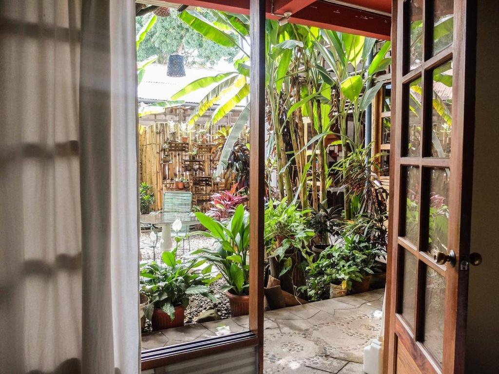 Casa De Palos Boutique Tarapoto Dış mekan fotoğraf