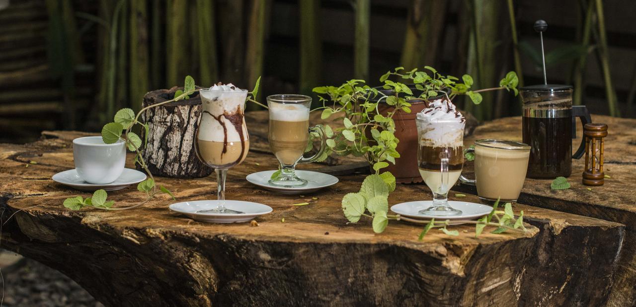 Casa De Palos Boutique Tarapoto Dış mekan fotoğraf